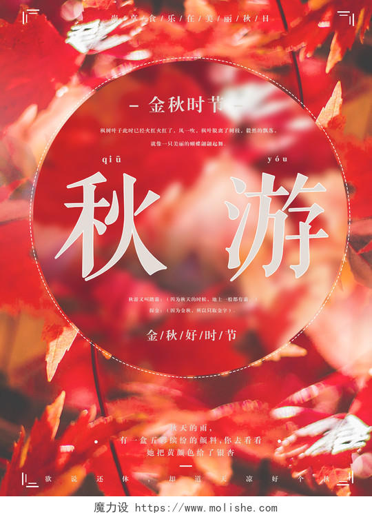 大气红色枫叶秋天秋游金秋养生宣传海报